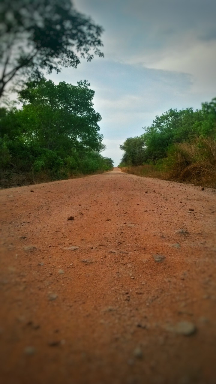 africa