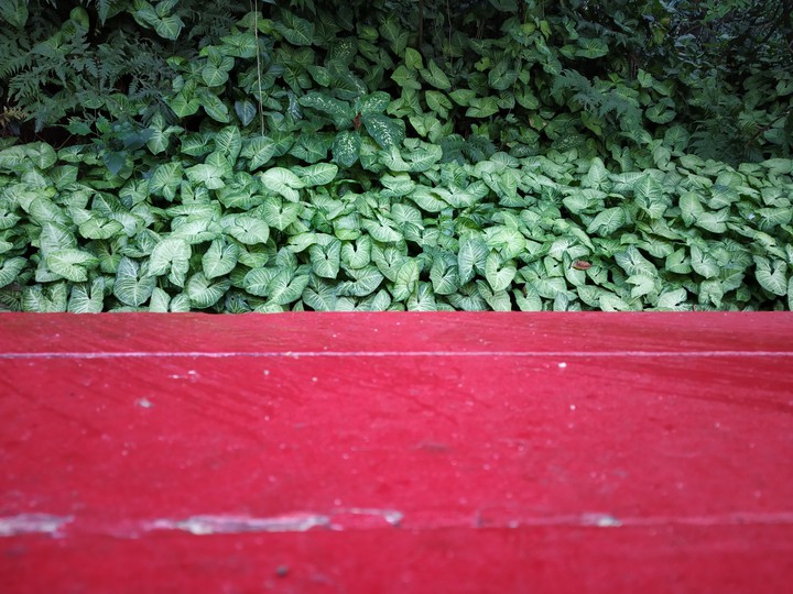 Greenery with Red context