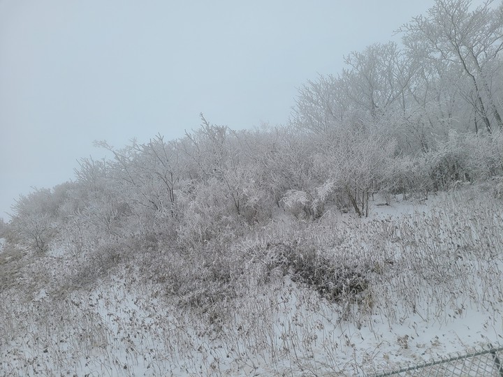 눈