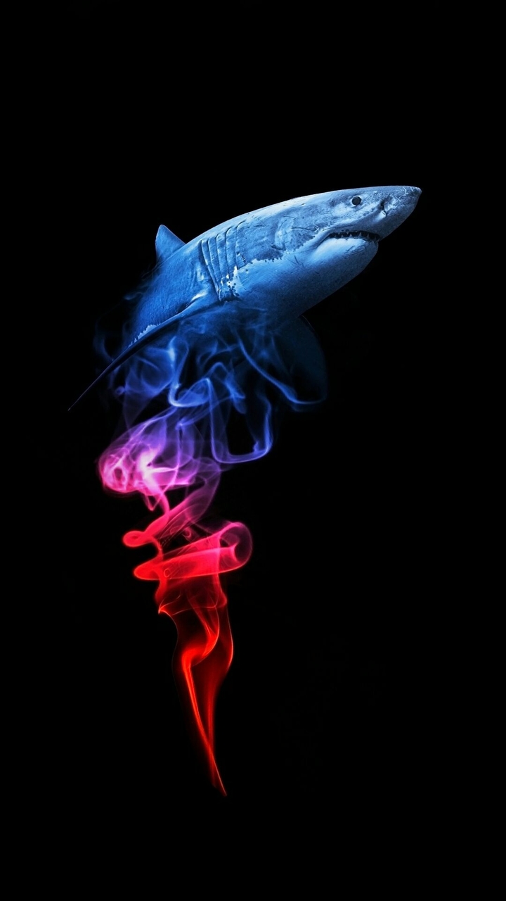 shark
