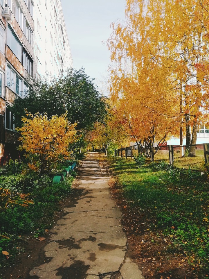 осень