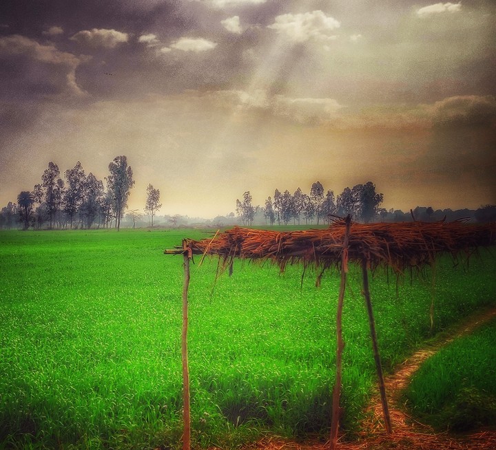 village
