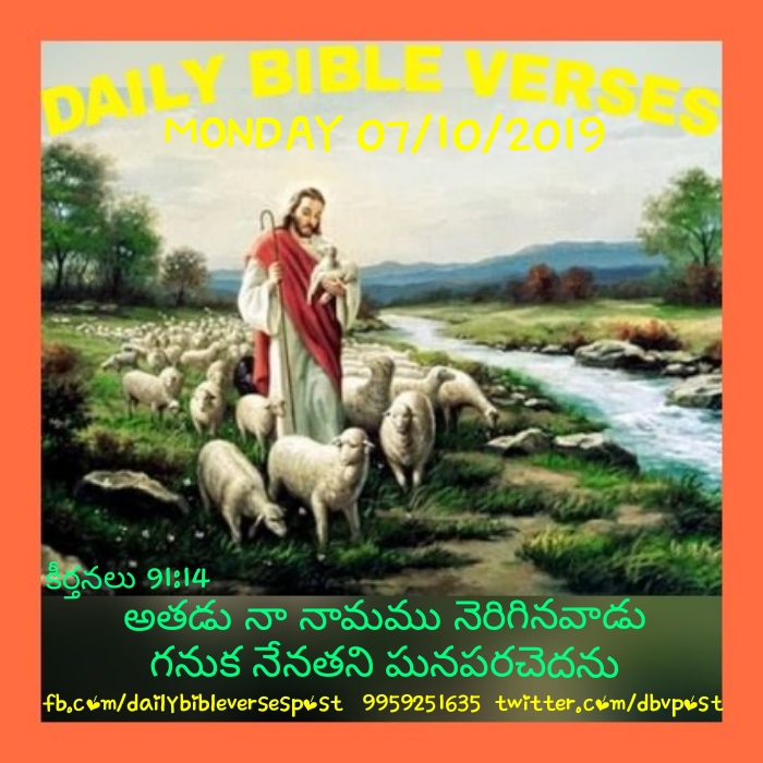 Daily Bible Verses