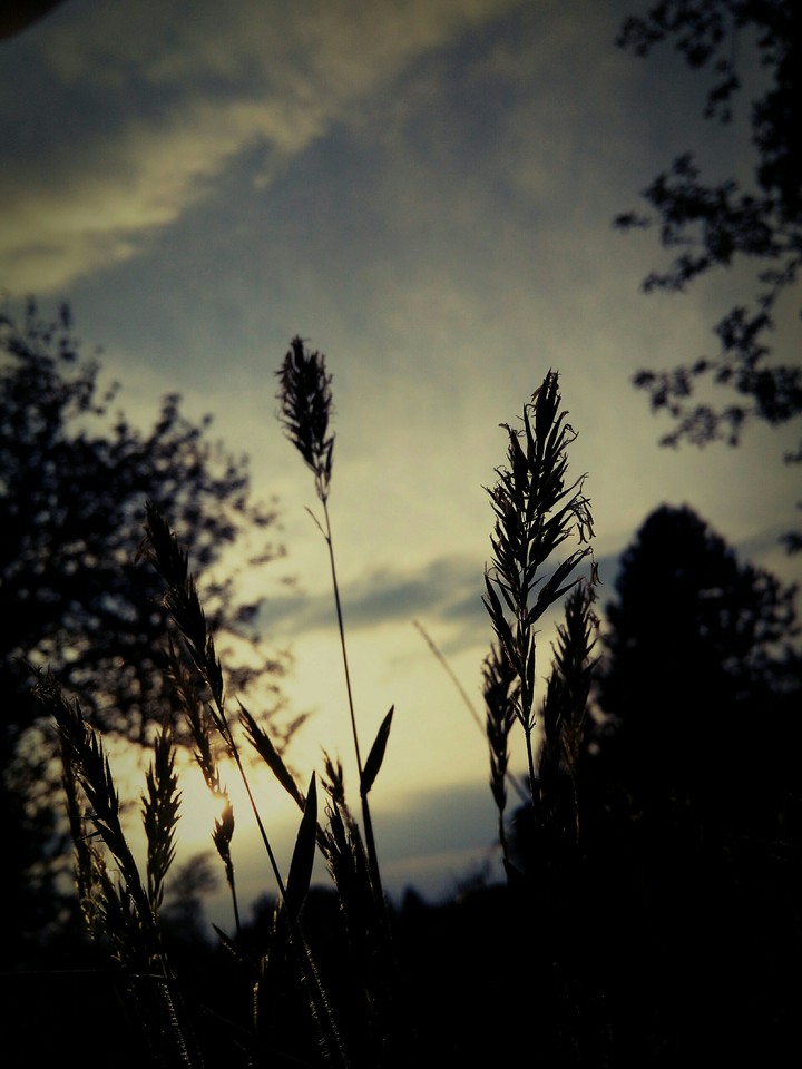 Natural