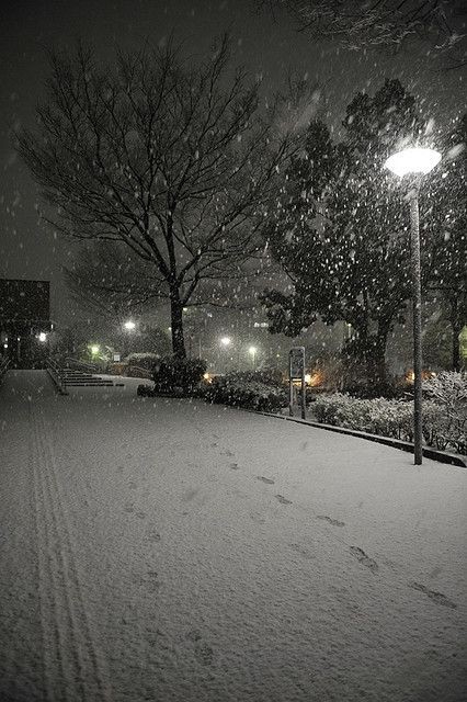 winter