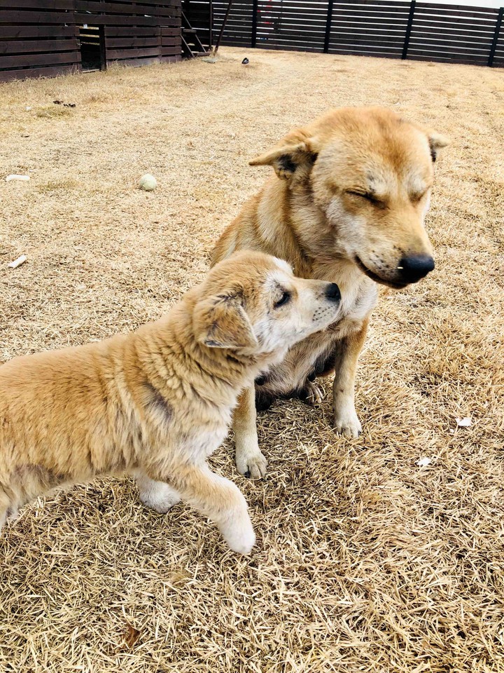 mom and daughter