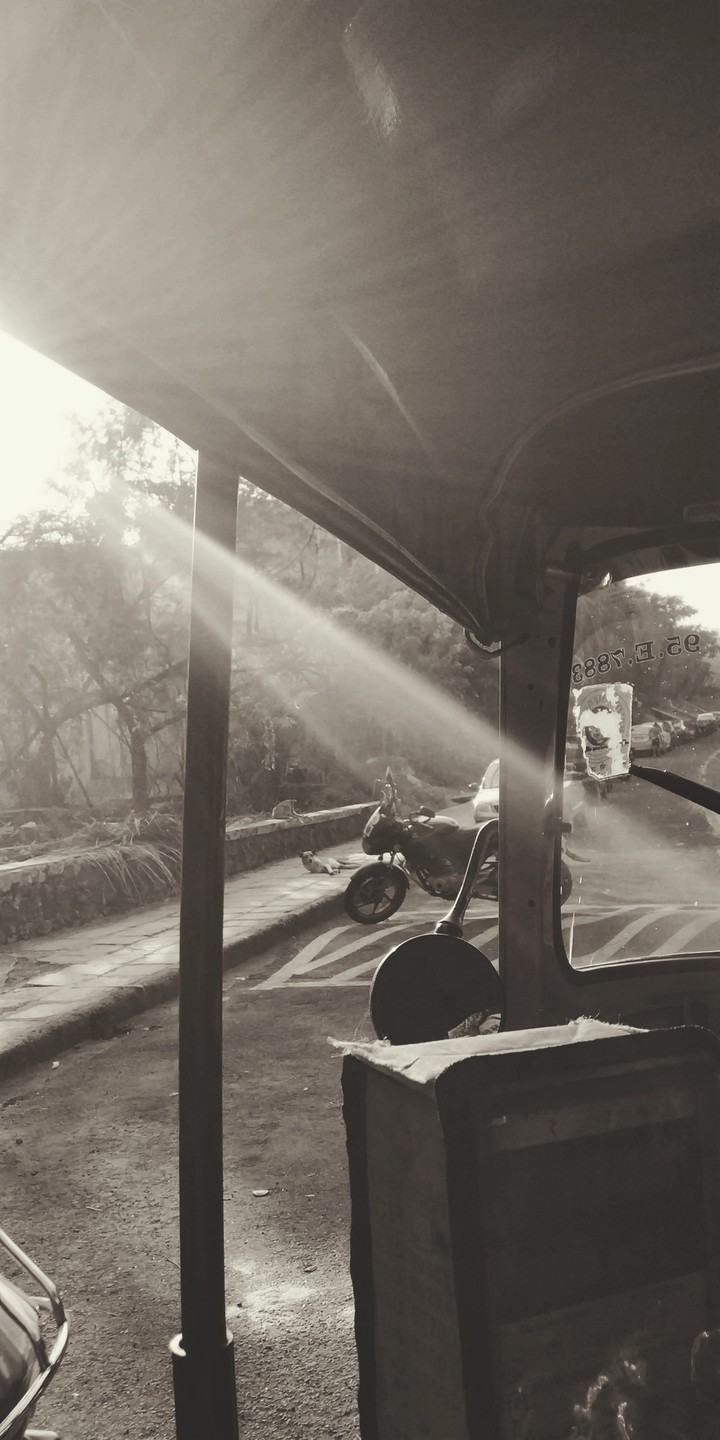 Sunlight