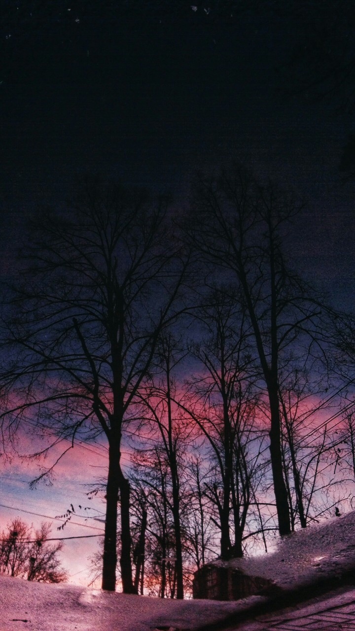 dawn...
