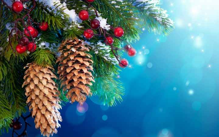 happy new year