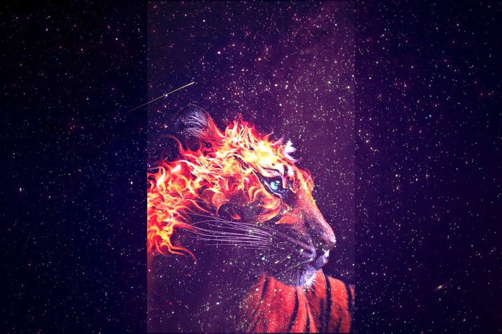 Burning Tiger