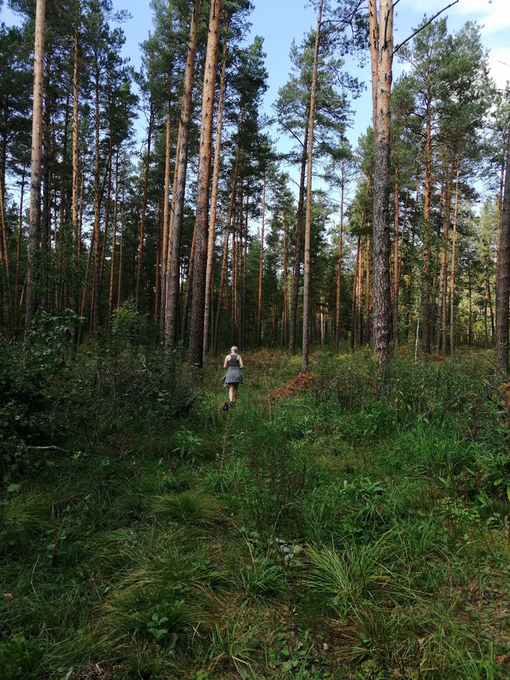 лес