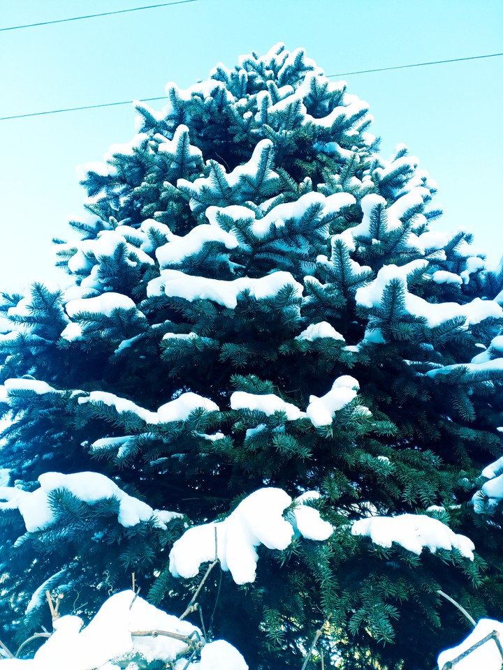 ❄️