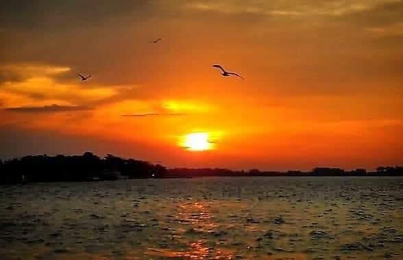 sunset