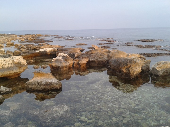 Sea