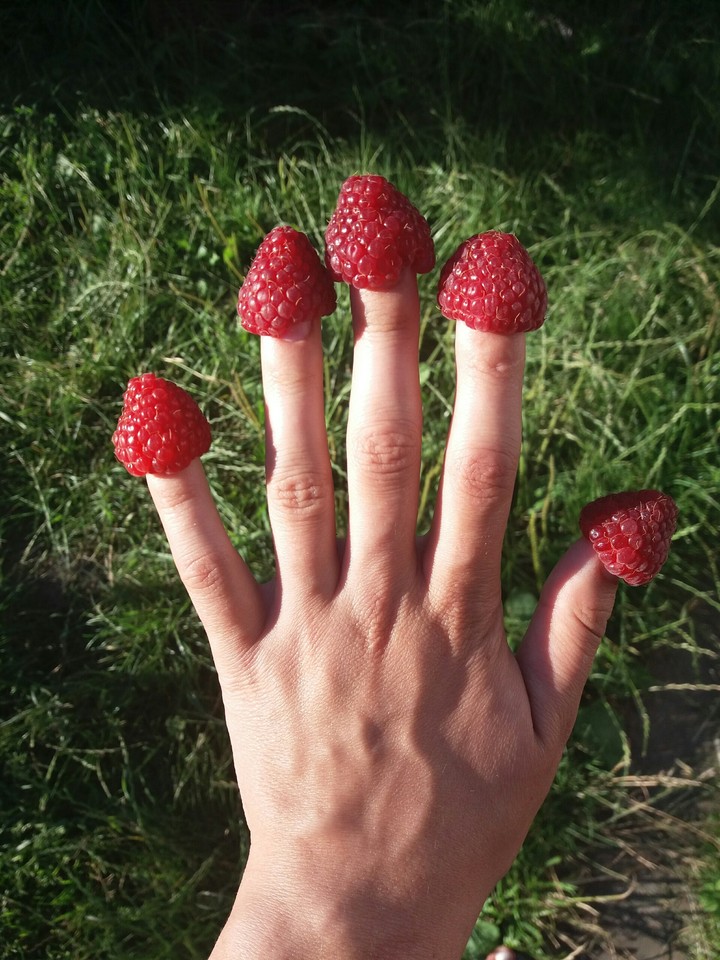 raspberry