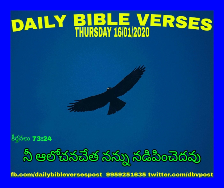 DAILY BIBLE VERSES