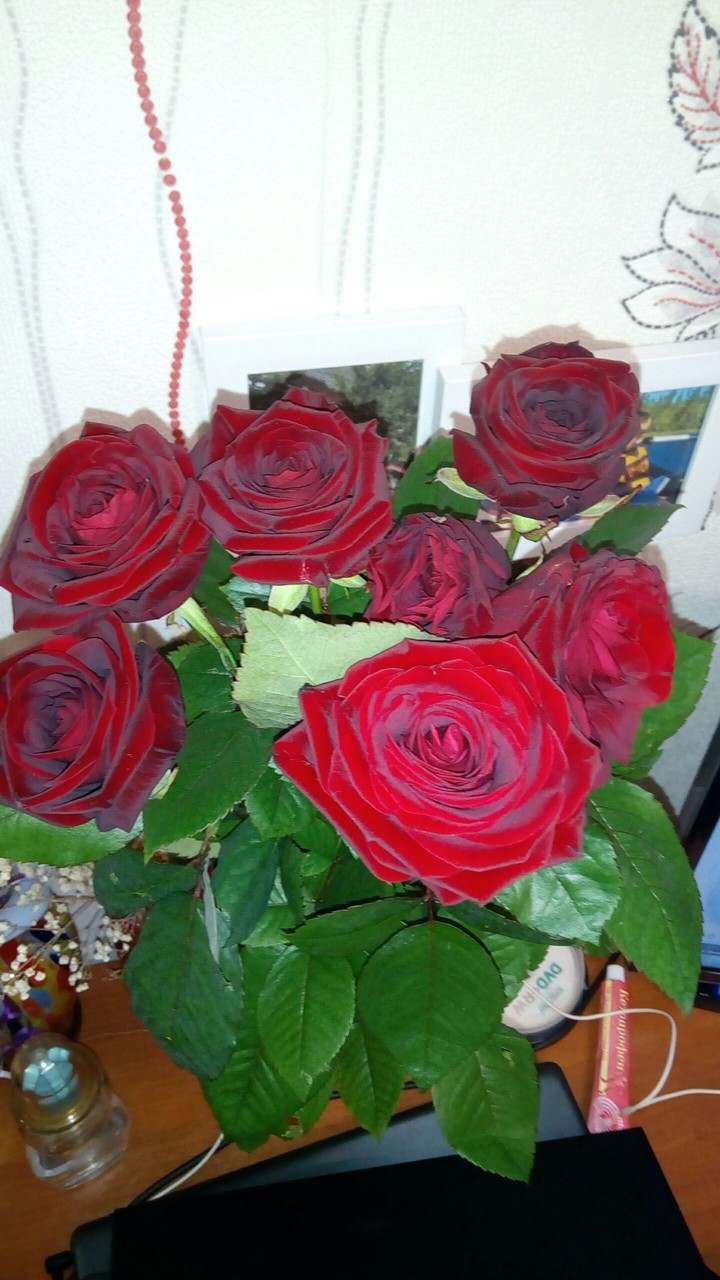 роза