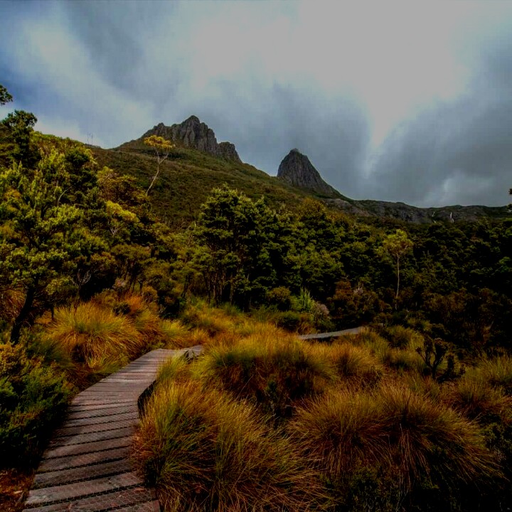 paths