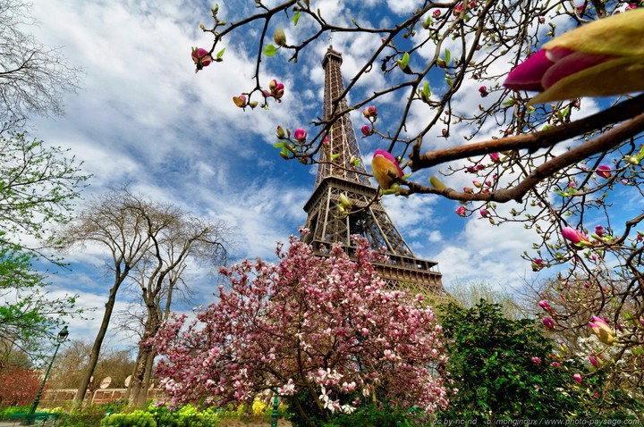 Tour Eifel