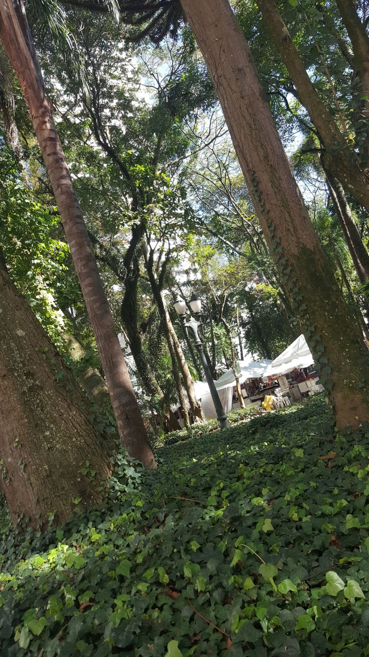 Curitiba