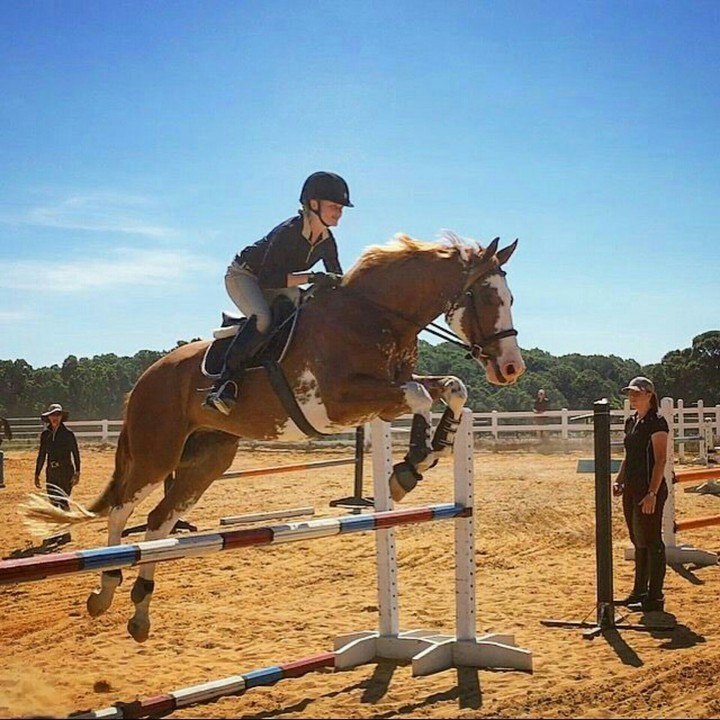 Horse Riding
