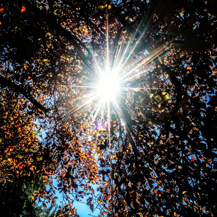 Sun