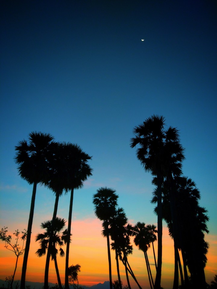 Amazing sunset