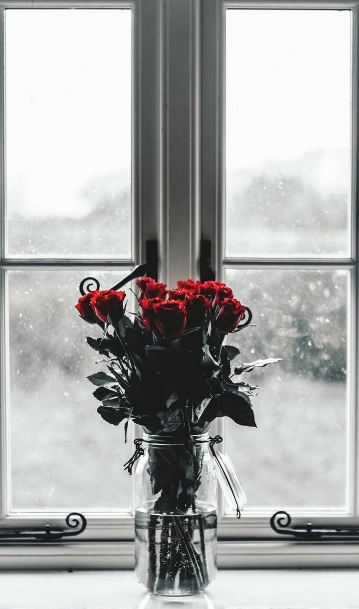 wow flower,, so please follow me