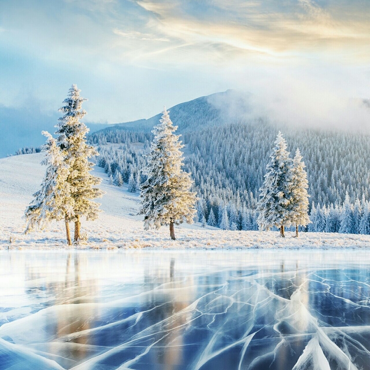 Natur