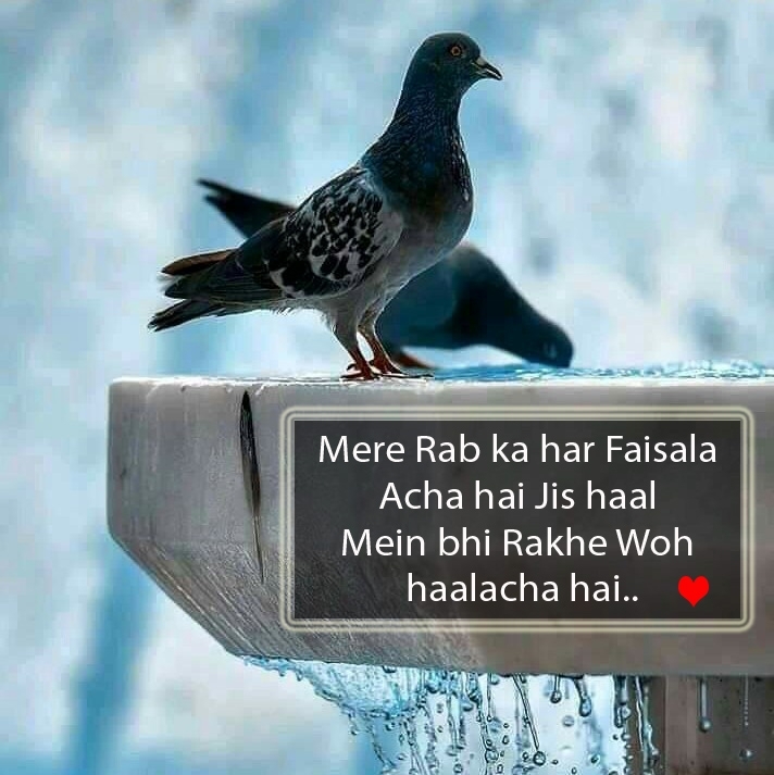 mere rab ka faisala