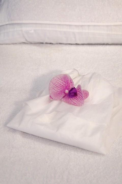 tapety linens, flower