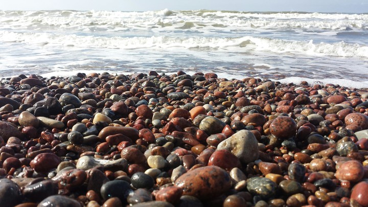Sea