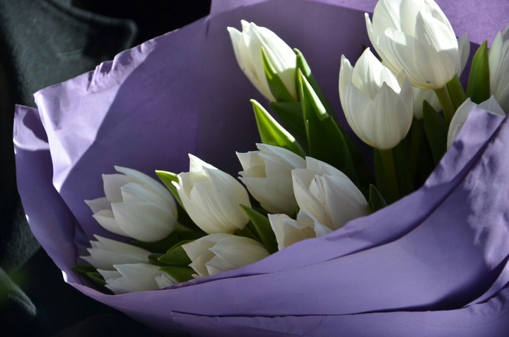 Tulips