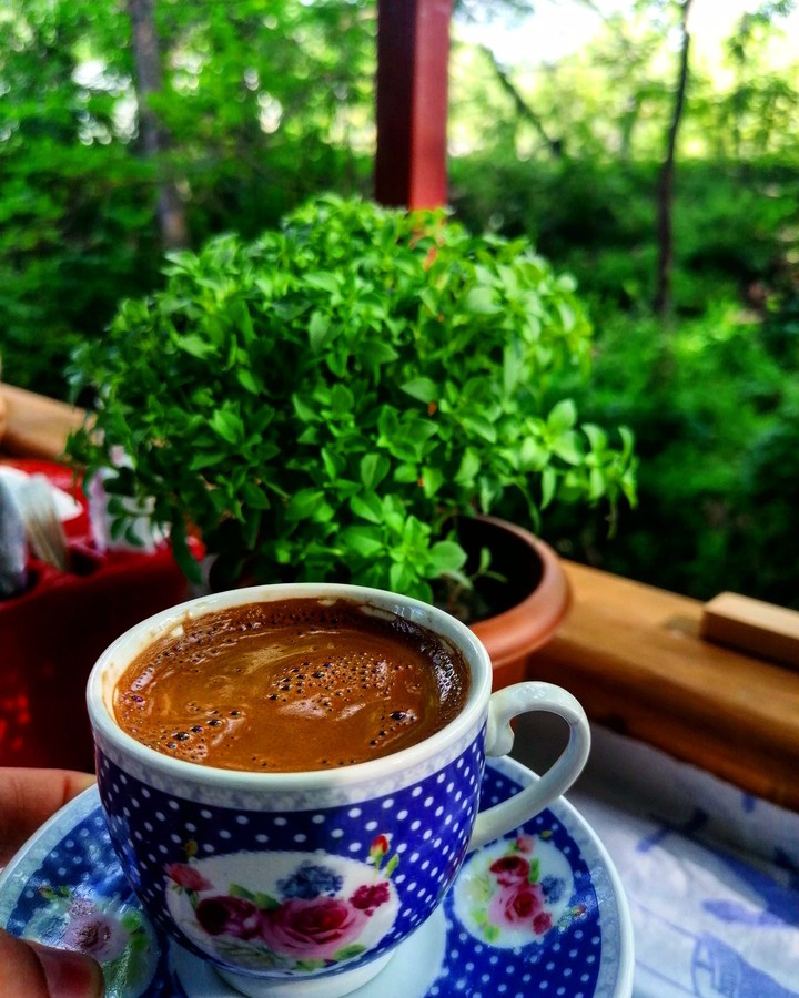 fesleğen