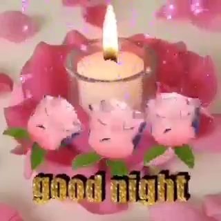 ❤️❤️❤️