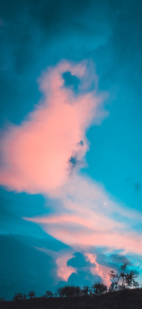 wallpaper