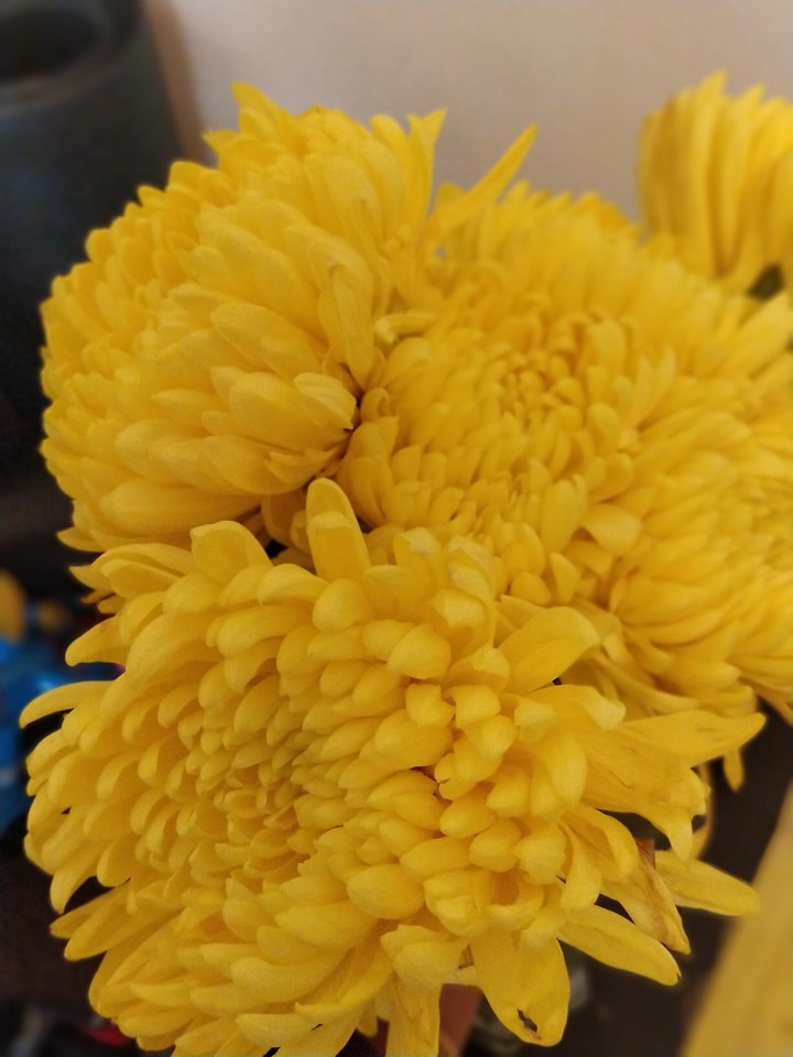 Love for Yellow!!