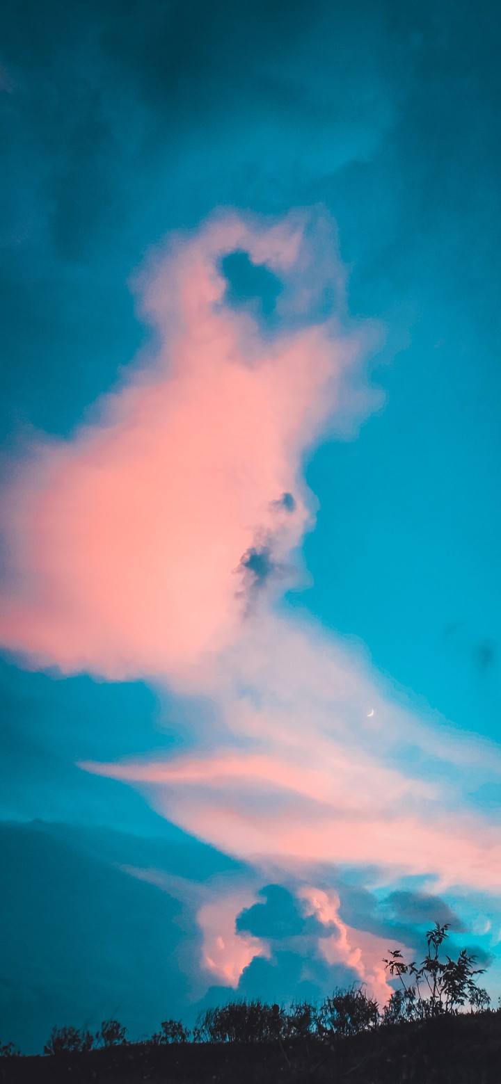 wallpaper