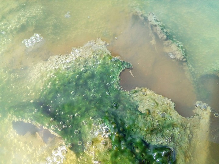 in water