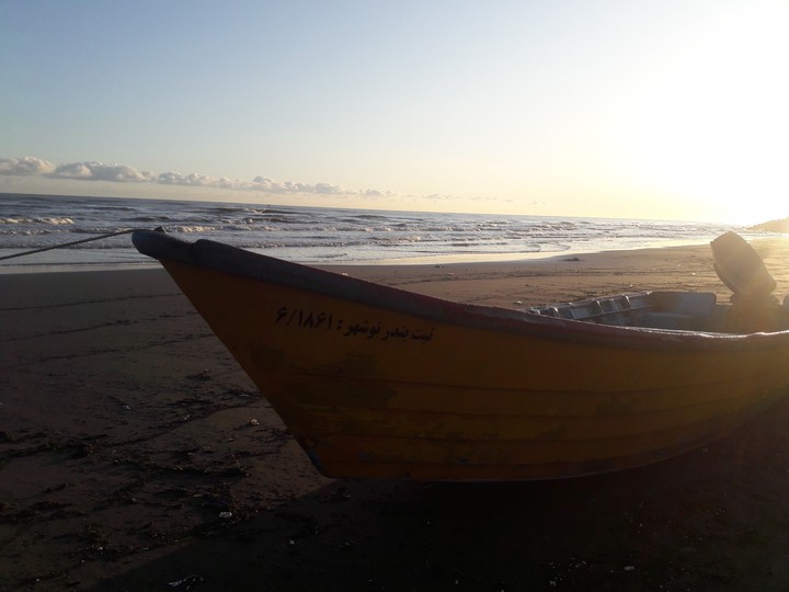 beach of sea