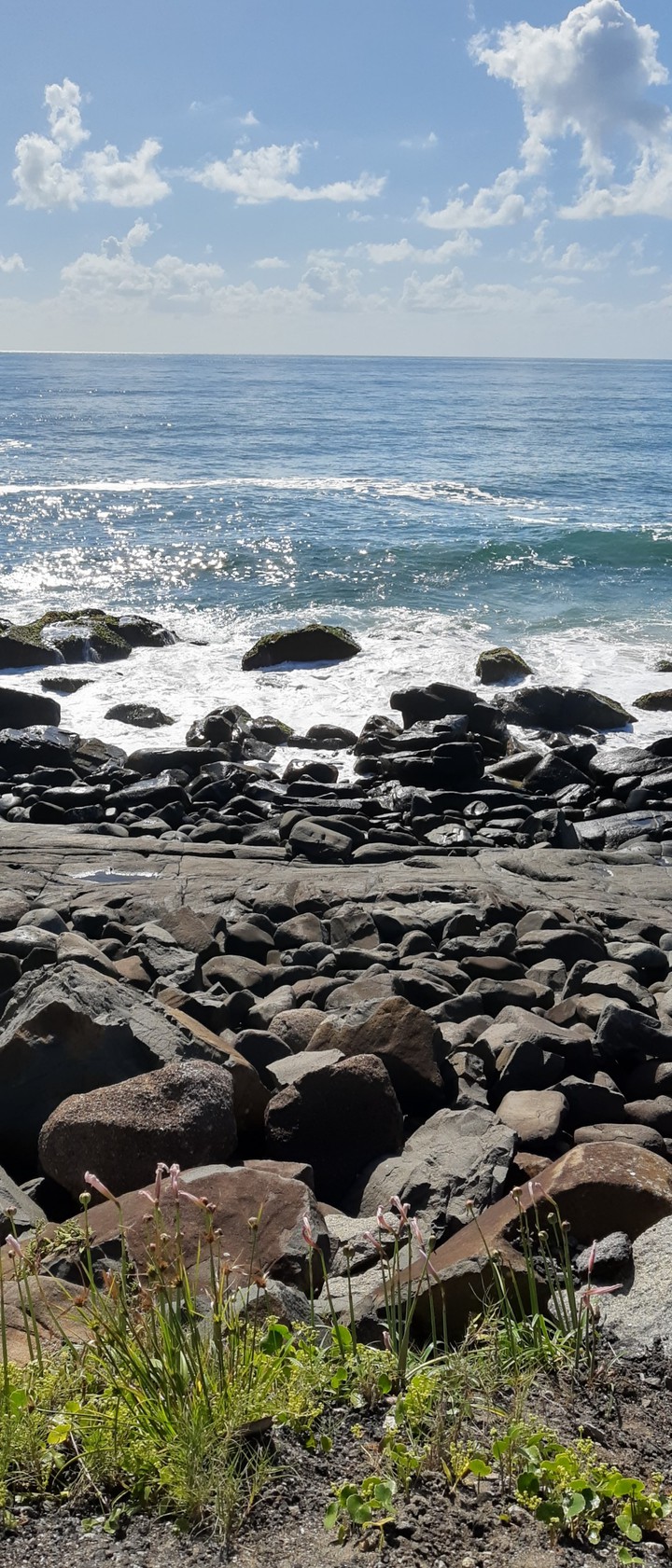 Sea