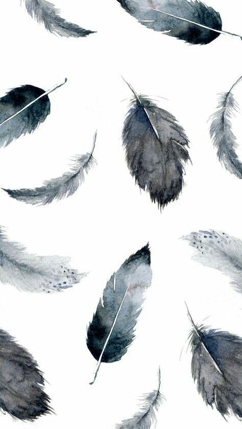 Plumas negras