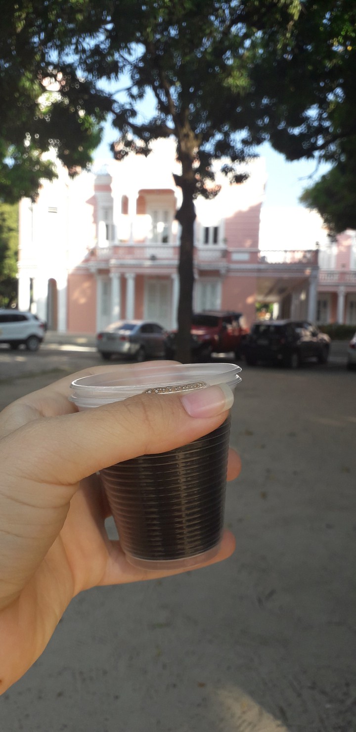Coffee