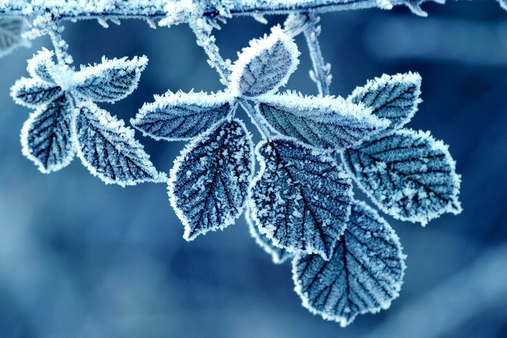 ❄cold❄