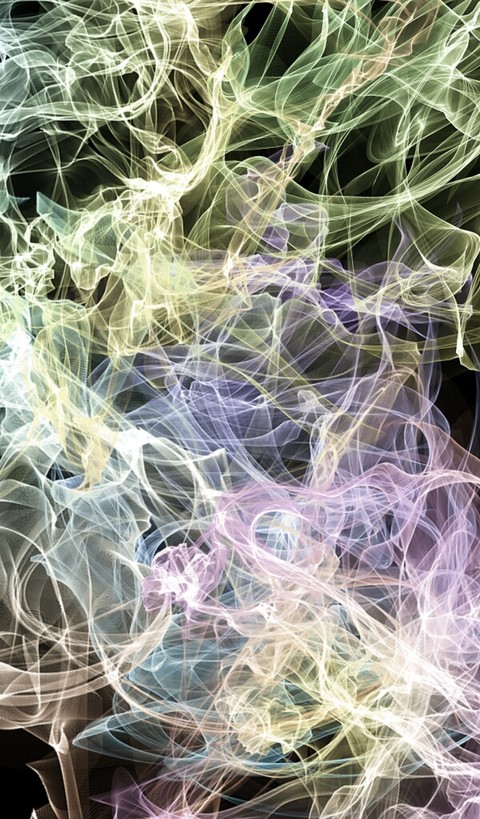 tapety texture, organism