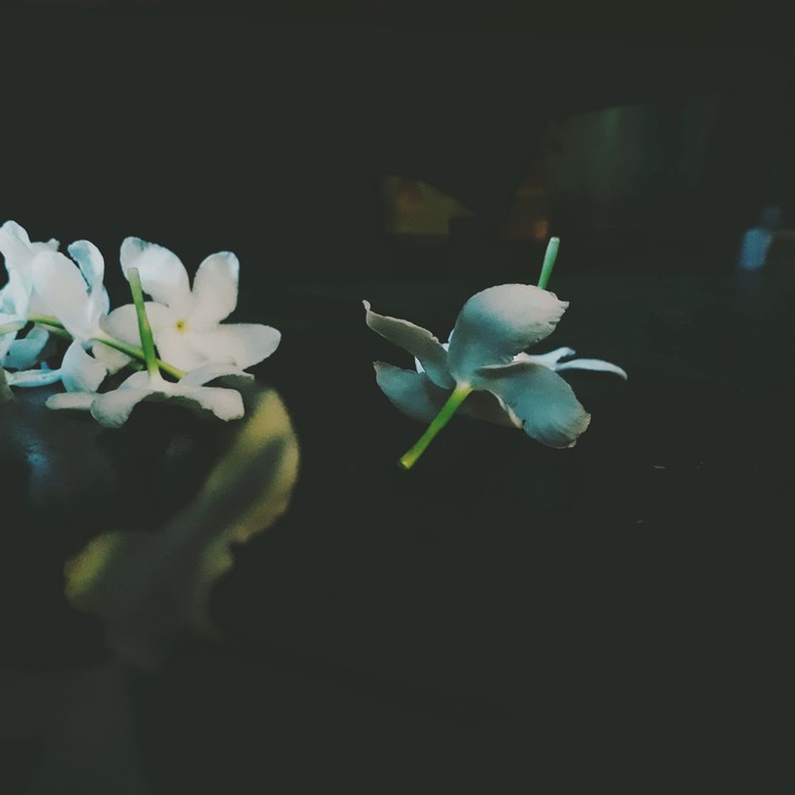 flwer