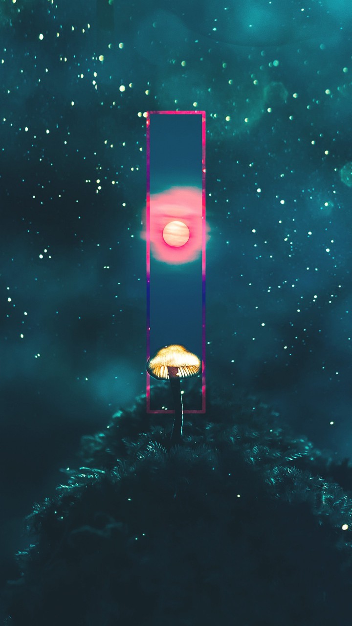 Fireflies Rectangle