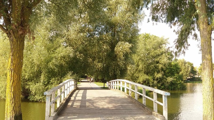 Brücke