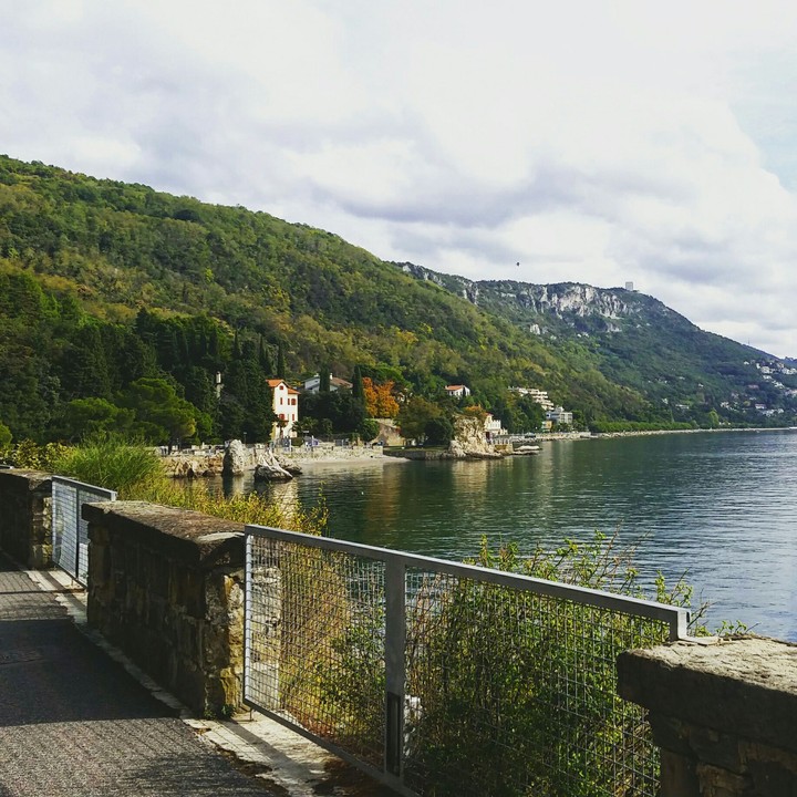 viaggi