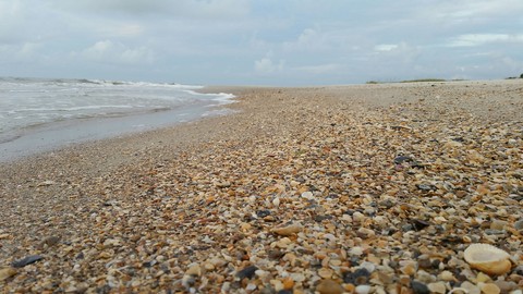 Seashore